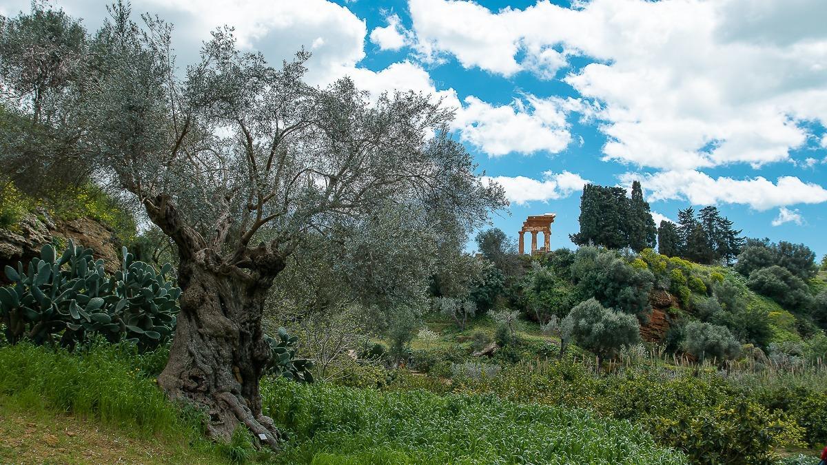 B&B Manzoni Agrigento Luaran gambar